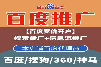 SEM服务托管：提升广告效果的成功案例解析